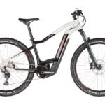 VTT Électrique HAIBIKE HARDNINE 9 29" Gris/Noir 2022 – 250 W – 85 Nm – 25 km/h